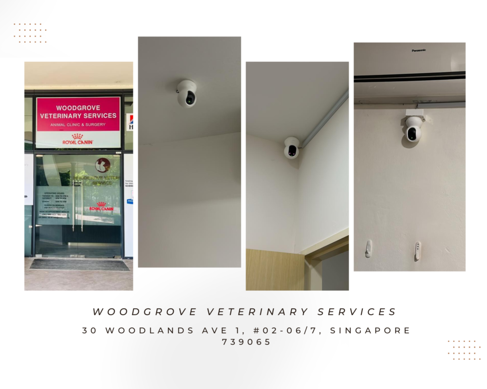 IP POE CCTV System Iroyal Client Installation Woodgrove Veterinary Services (1)