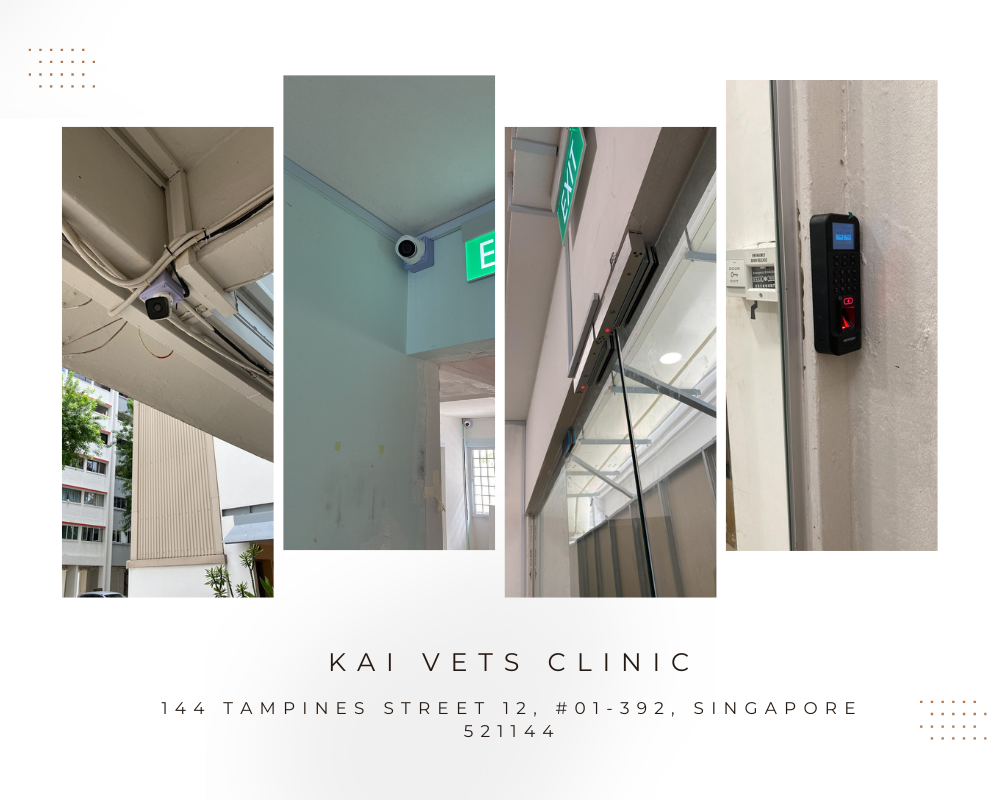 kai VETS CLINIC